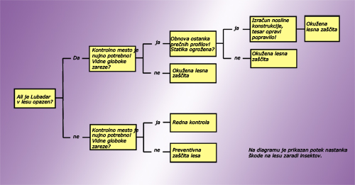 Slika 1 – Potek nastanka škode